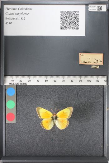 Media type: image;   Entomology 123826